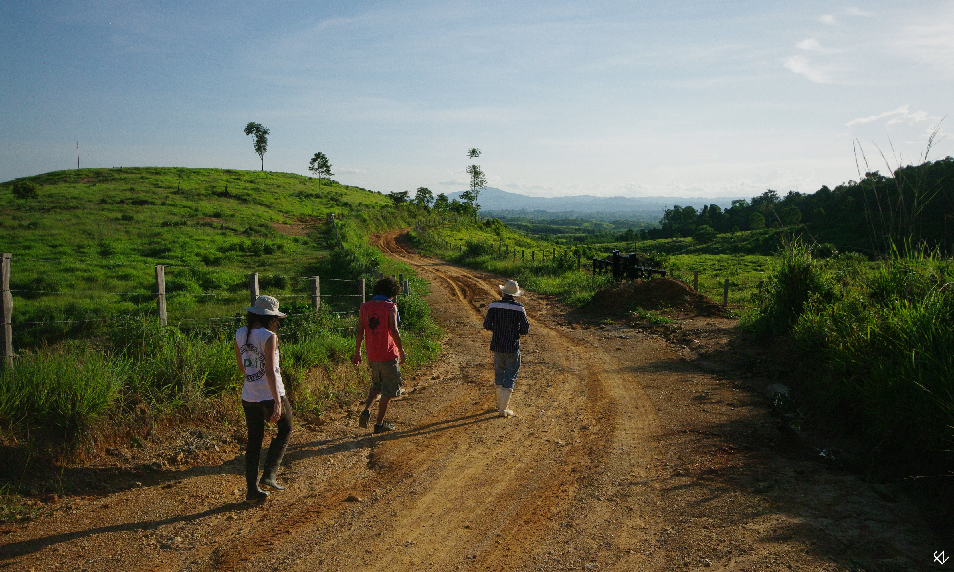 Three people walking on a red dirt road through the green Colombian countryside. One is wearing a shirt with the big logo of Peace Brigades International.